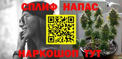 кокс Белореченск