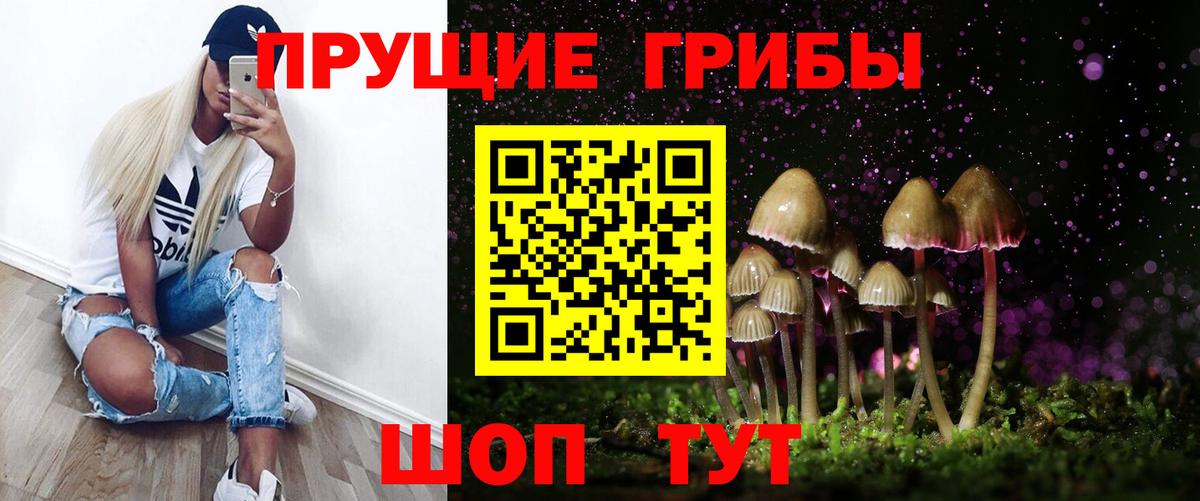 наркотики  Вход с VPN  Полысаево  Псилоцибиновые грибы Psilocybine cubensis 